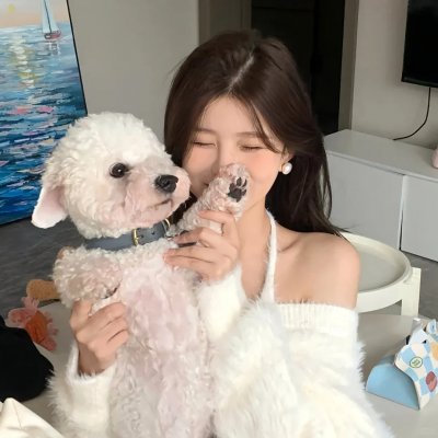 小车故障